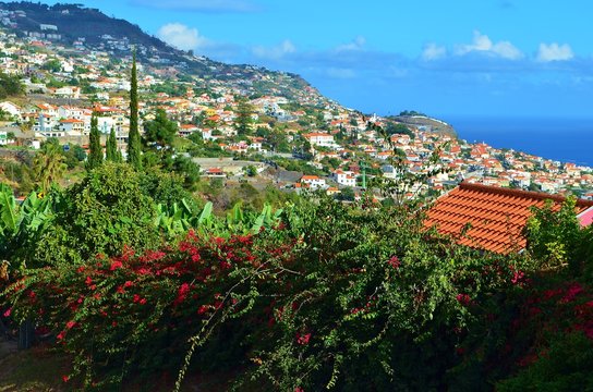 scenic view of madeira island