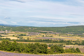 Background with aerial view on lavender fields at Provence, South of France