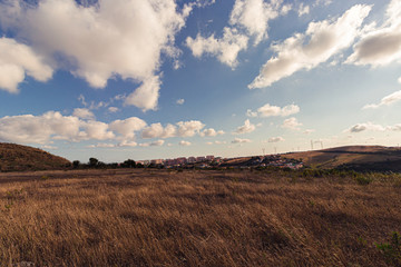 Fototapeta premium A meadow with blue sky as background, Sintra, Portugal
