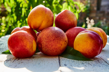 Ripe peaches with leaves on the old wooden table against the background of green leaves in the garden. Soft selective focus