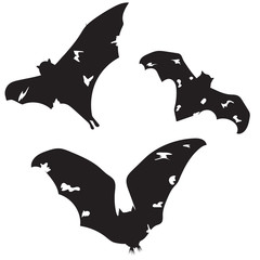 Halloween black flying Bat set