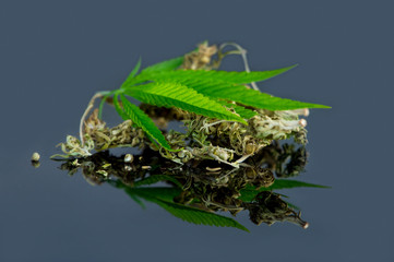 Cannabis herbal tea and marijuana leaves.