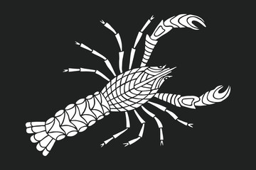 hand-drawn drawing cancer, river, sea animal