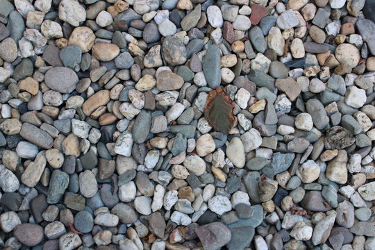piedras