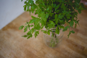 parsley on branch stuck in a jug on the wooden table