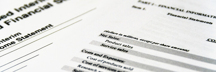 balance sheet of financial statement, analysis of business plan for stockholders