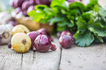 Red onion in bronze bowl garlic celery herbs and kohlrabi on garden table - Top of view. Close-up fresh healthy vegetable