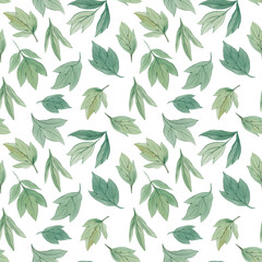 Seamless botanical pattern. Watercolor painted leaves. Design element. Elegant leaves for art design. Hand painted leaves on white background.