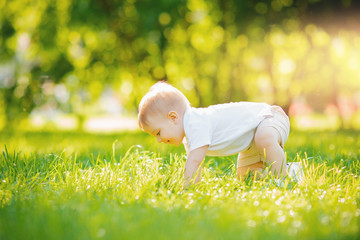 First step baby, Portrait boy crawling stand up in park Sunlight. Concept development, grow up