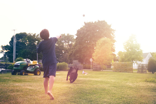 Man throwing ball to dog