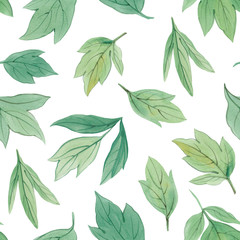 Seamless botanical pattern. Watercolor painted leaves. Design element. Elegant leaves for art design. Hand painted leaves on white background.