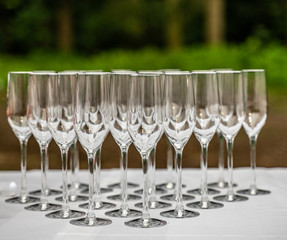 empty champagne glasses for an outdoor party