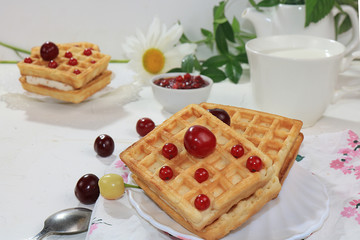 Crispy waffles with berries on a sunny table. Morning breakfast with waffles and milk