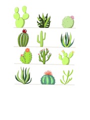 set of cactus, succulent for your design and scrapbook