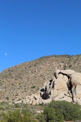 Fototapeta na wymiar Slopes of the Little San Bernardino Mountains hosting indigenous botanical communities, accented by a daytime moon, here, in Joshua Tree National Park, Southern Mojave Desert. Protect and conserve.