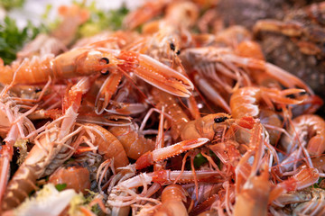 Close-up of Shrimps on Street Market