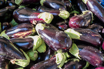 Eggplant vegetables on street market close-up