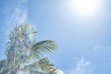 green leaf against blue sky