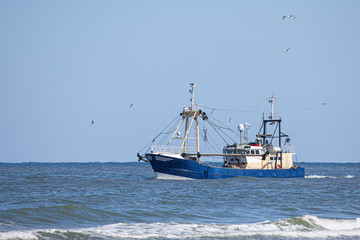 a shrimp cutter on the north sea