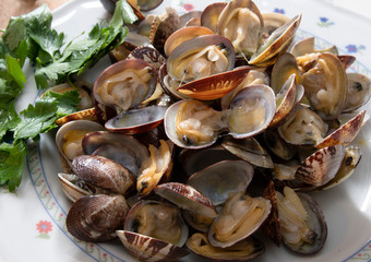  Italian clams open