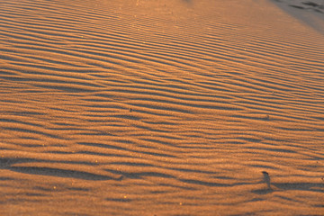 Dune on Beach at Sunset