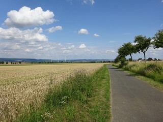 Landschaft und Weg im Solling mit blauem Himmel