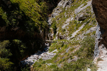 photo of the cares route