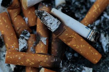 Filtered cigarette butts, ash and smoke inside the ashtray.