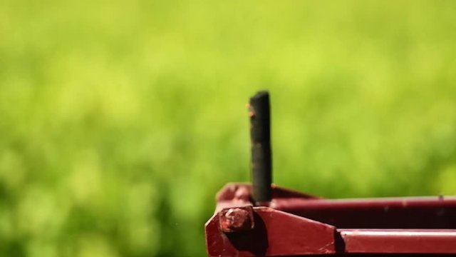 La vendange dans la benne du tracteur.