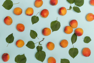 Apricots on a blue background, the flat lay image of ripe apricots and leaves