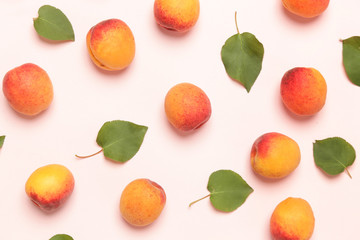 Apricots on a pink background, the flat lay image of ripe apricots and leaves