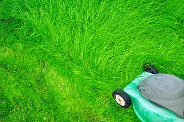 juicy green grass close-up, in the background lawn mower and trimmed lawn.