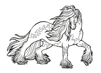 Horse runs trot. Coloring book. The horse runs trot. Coloring book. Tinker is a thoroughbred horse.