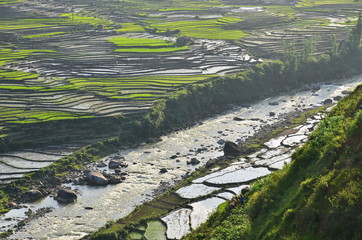ベトナムのサパ　モン族の村　美しい棚田と夕暮れ