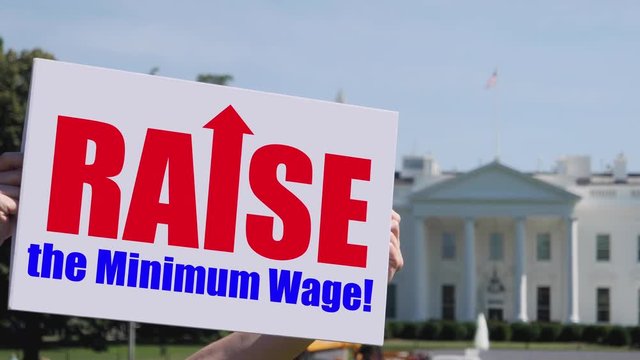 A man holds a RAISE THE MINIMUM WAGE protest sign in front of the White House on a sunny summer day.  	