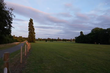 Naklejka premium fresh green sunset landscape and blue sky with clouds