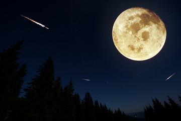Fototapeta na wymiar Full Moon Rising over Coniferous Forest