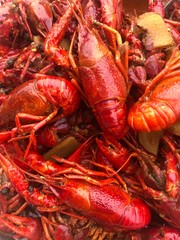 lobster in the market