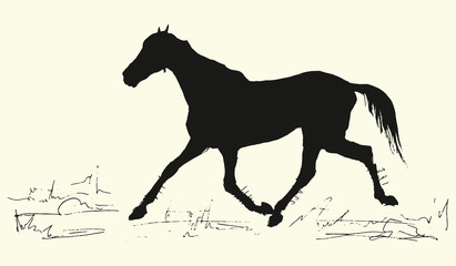 isolated black  running horse silhouette on colored background and place for inscription