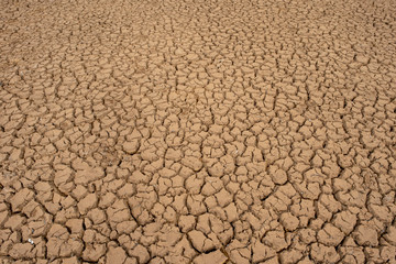 Marsh land with dry and cracked ground. Global warming background.