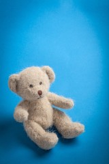 Gray Teddy bear with blue backdrop