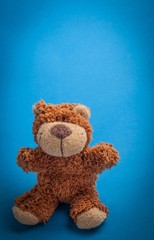 Shaggy Teddy bear with blue backdrop