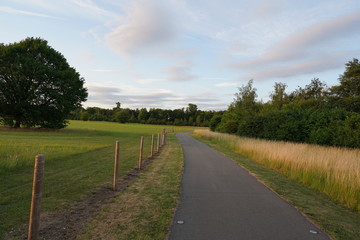 fresh green sunset landscape with blue sky and clouds