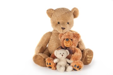 Teddy bear family