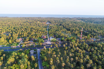Coconut palm tree plantation green field with road aerial view