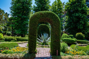 Green archway topiary of boxwood in sunny park close