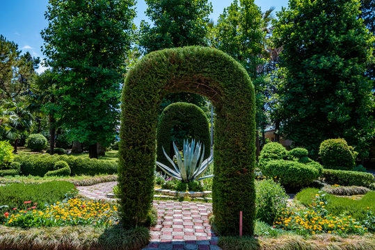 Green Archway Topiary Of Boxwood In Sunny Park Close