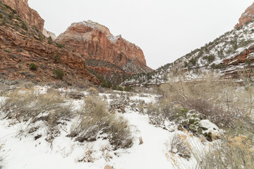 Fototapeta na wymiar Zion National Park after snow storm