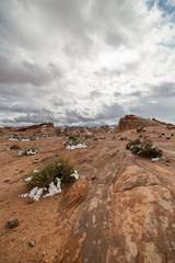 Valley Of Fire State Park