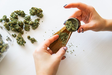 Close up of marijuana blunt with grinder. Woman rolling a marijuana joint on white background....